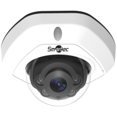 Купольные IP-камеры Smartec STC-IPM3408A/4 Estima