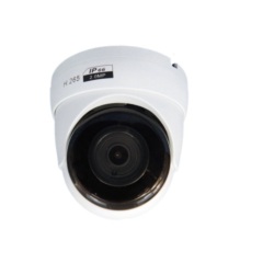 Купольные IP-камеры ComOnyX CO-RD21Pv2