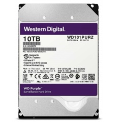 Жесткие диски Western Digital WD101PURZ