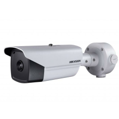 IP-камера  Hikvision DS-2TD2136T-10