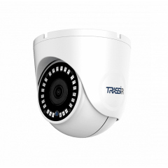 Купольные IP-камеры TRASSIR TR-D8151IR2(2.8 мм)