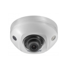 Купольные IP-камеры Hikvision DS-2CD3545FWD-IS (6mm)