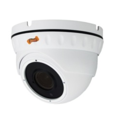 Купольные IP-камеры J2000-HDIP4Dm30P (2,8-12)  v.1