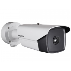 IP-камера  Hikvision DS-2TD2136T-10