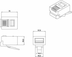 Hyperline PLUG-6P4C-P-C2-100